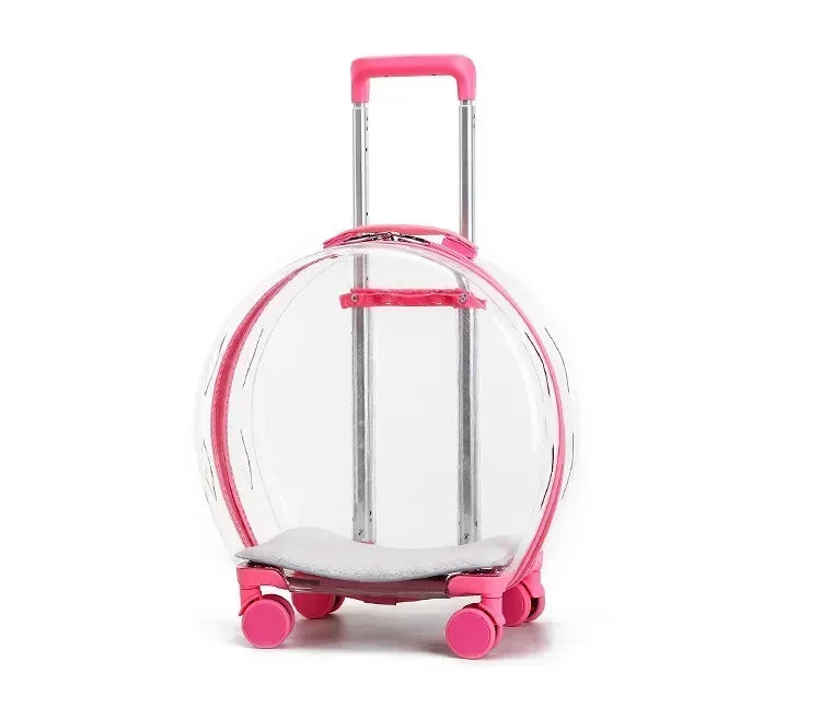 Bubble Pet Backpack – Transparent Carrier 🐾