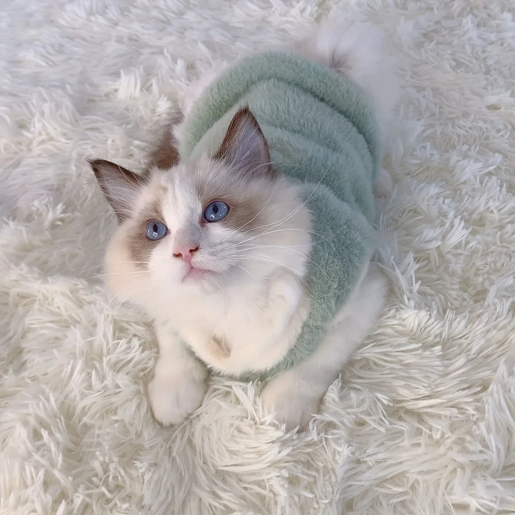 Warm Winter Clothes for Small Pets