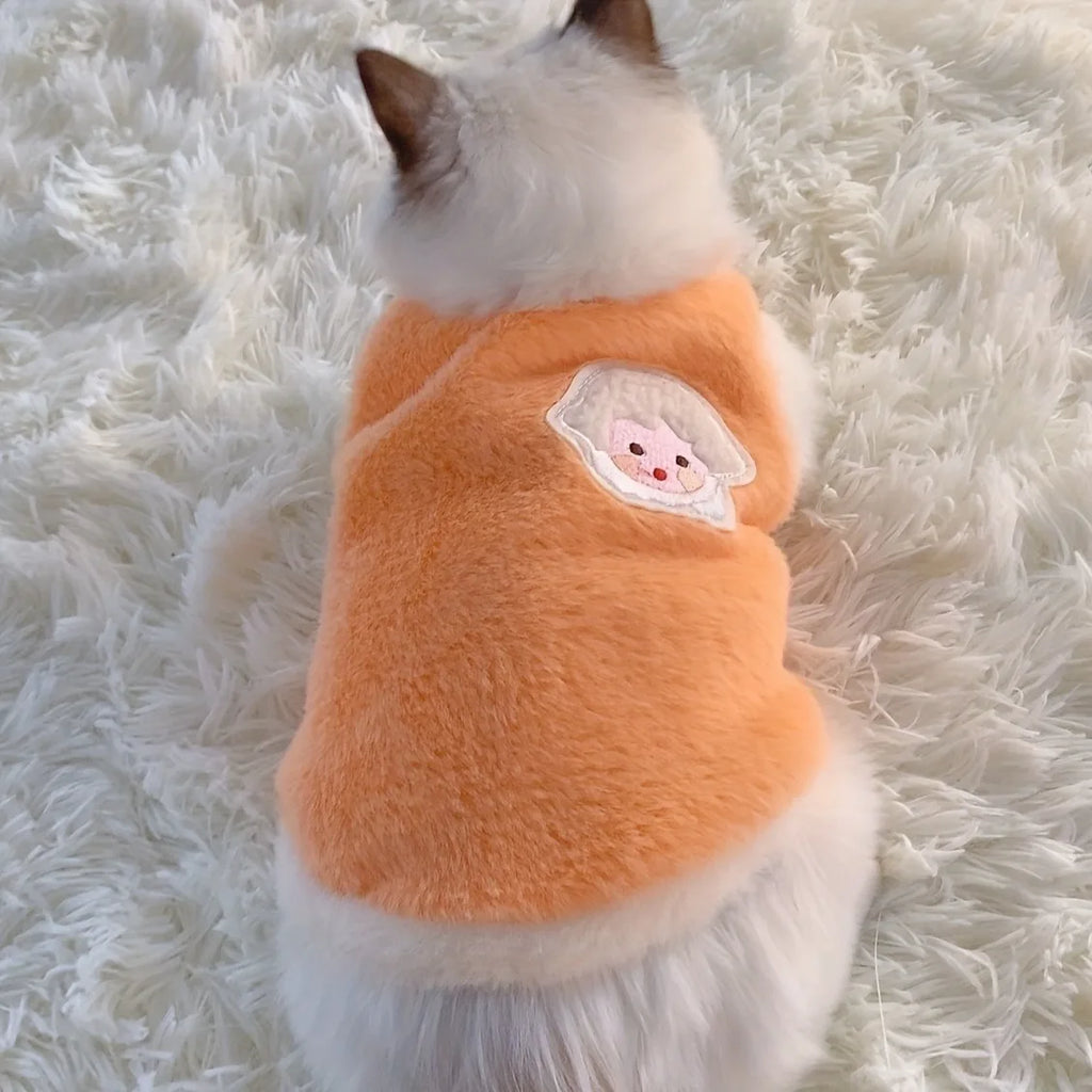 Warm Winter Clothes for Small Pets