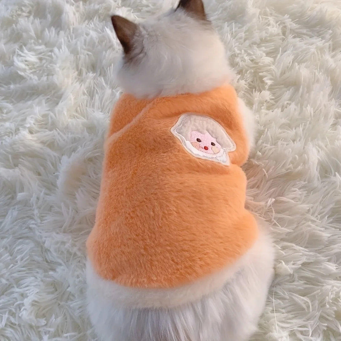 Warm Winter Clothes for Small Pets