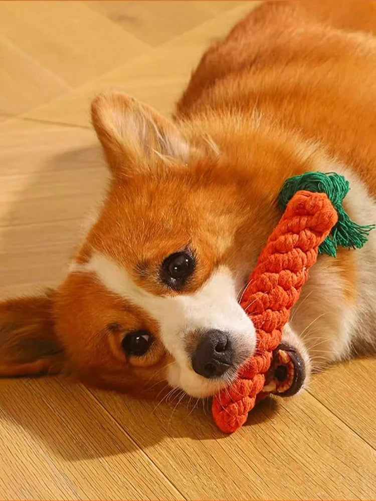 Hand-Woven Cotton Dog Rope Toy