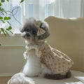 Floral Lace Dog Dress – XS-XL