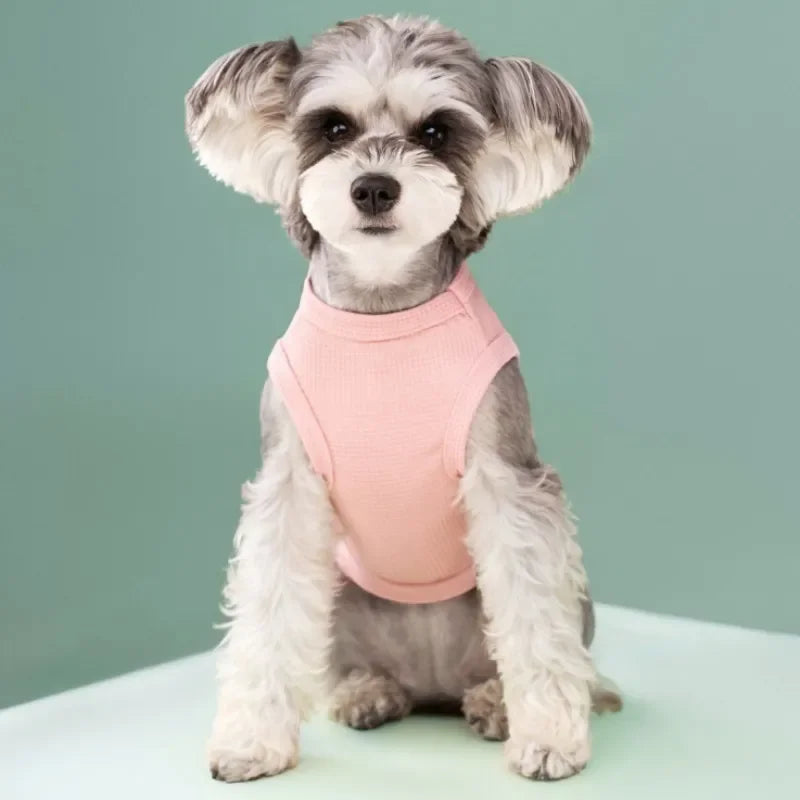 Summer Cool Dog T-Shirt