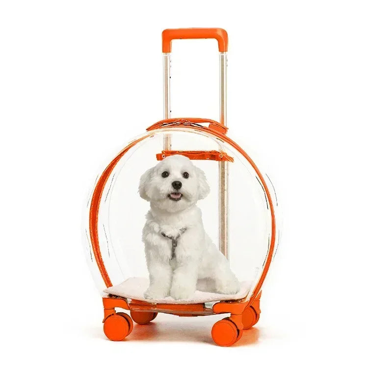 Bubble Pet Backpack – Transparent Carrier 🐾