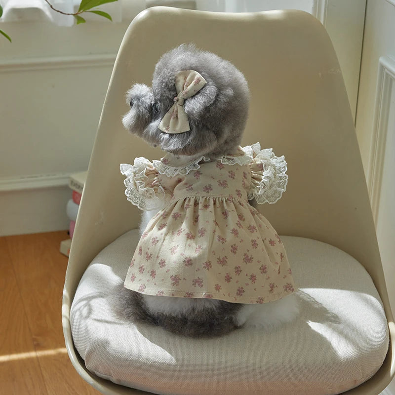 Floral Lace Dog Dress – XS-XL