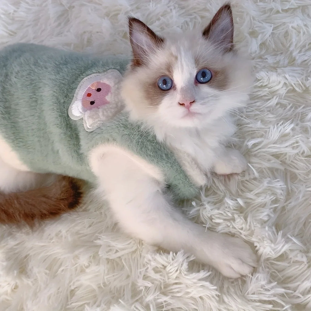 Warm Winter Clothes for Small Pets