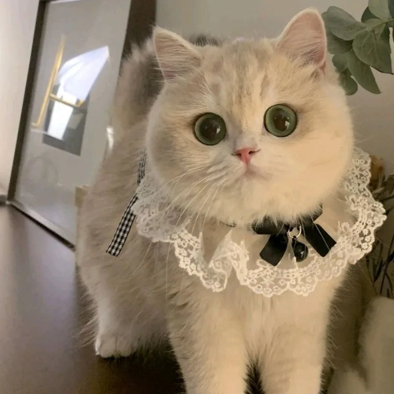 Silk Pet Collar with Bow & Bell – Princess Style