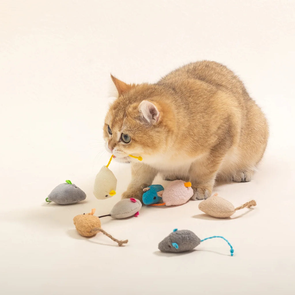 Catnip Rattle Mouse Toys – Multi Pack