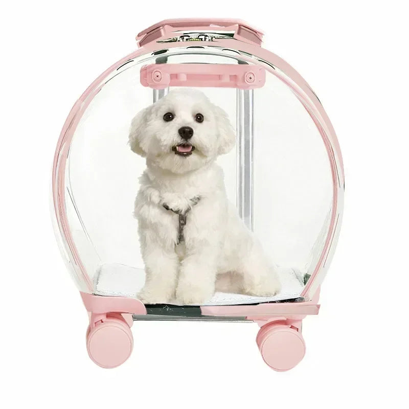 Bubble Pet Backpack – Transparent Carrier 🐾