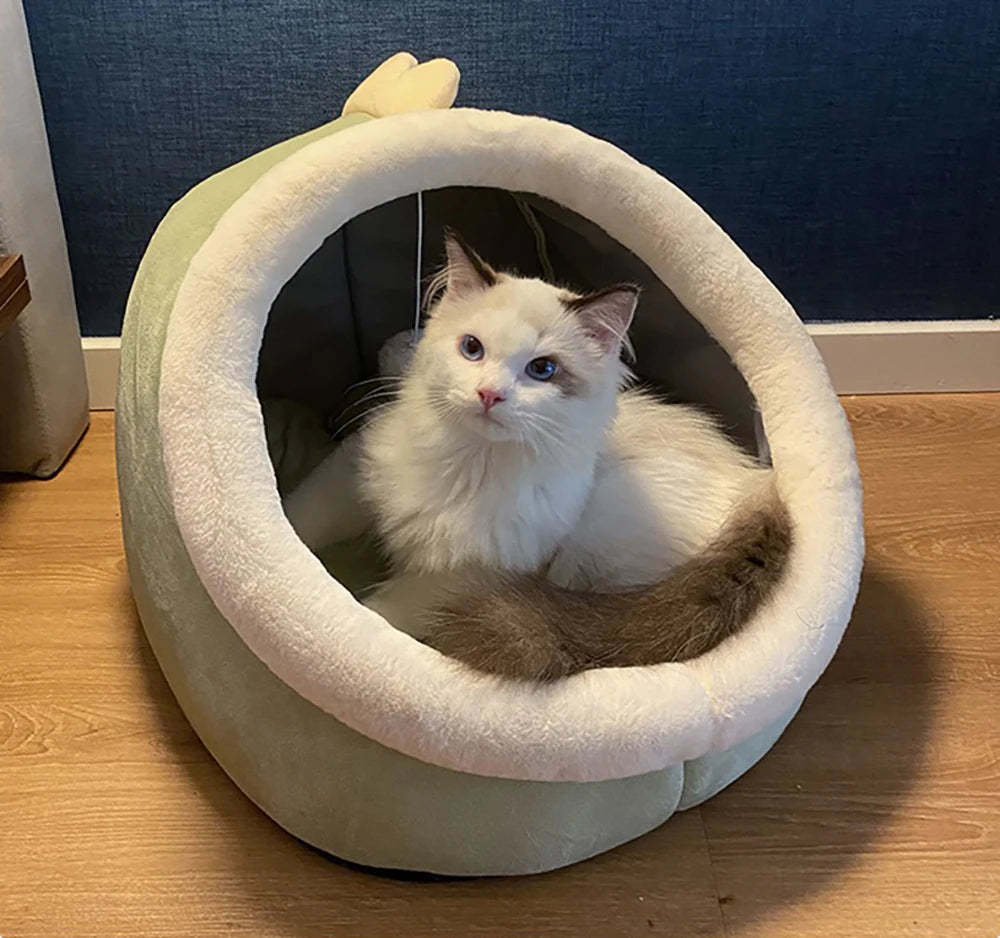 Pet Tent Bed