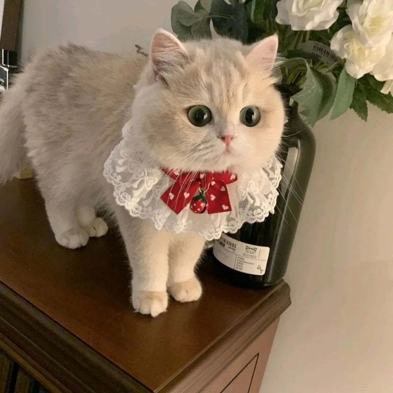 Silk Pet Collar with Bow & Bell – Princess Style