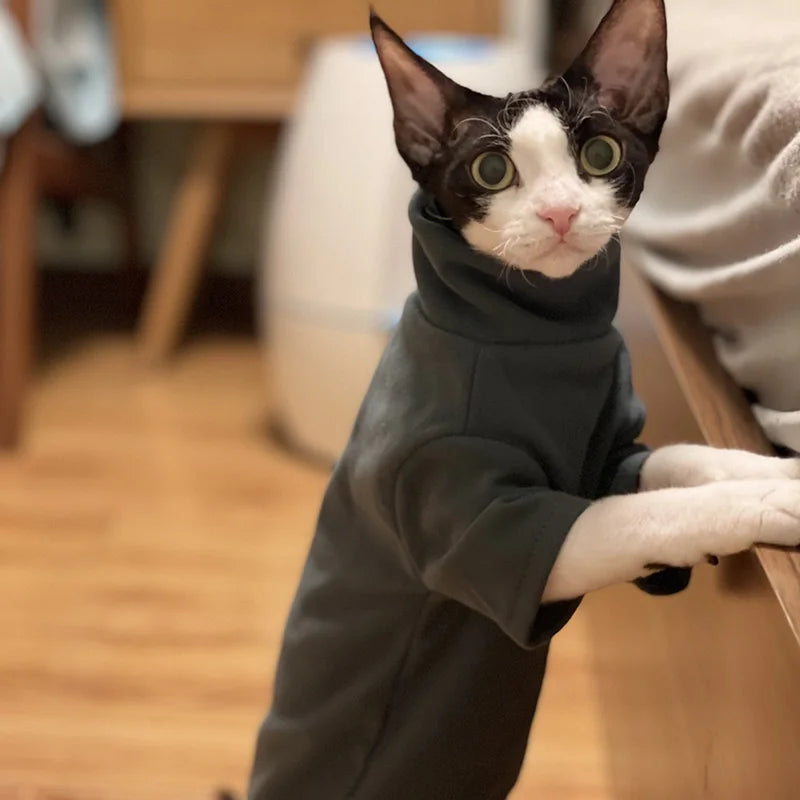 Sphynx Cat Clothes