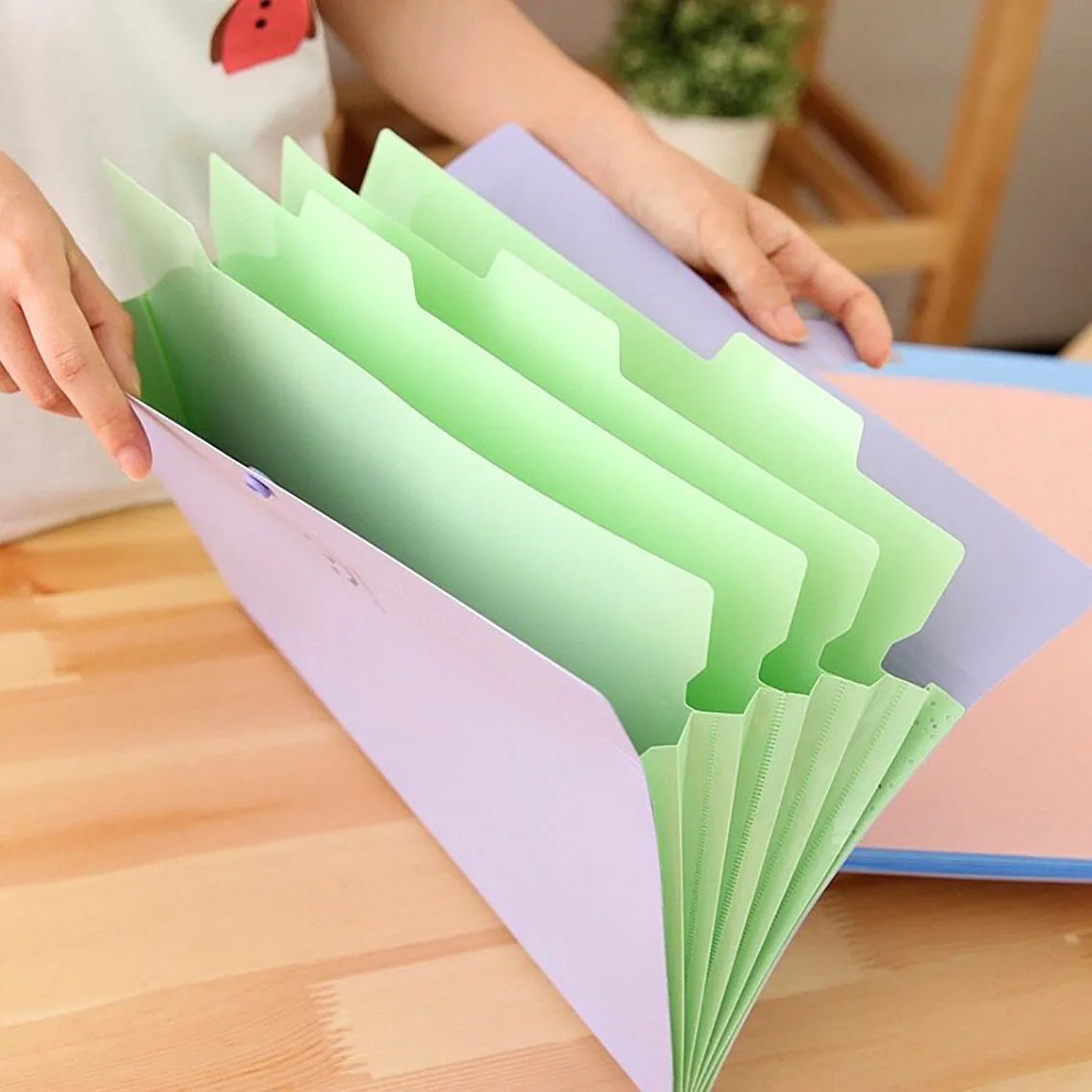 5-Page A4 Accordion File Folder – Durable