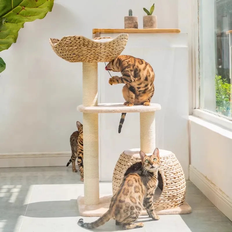 Wooden Cat Tree