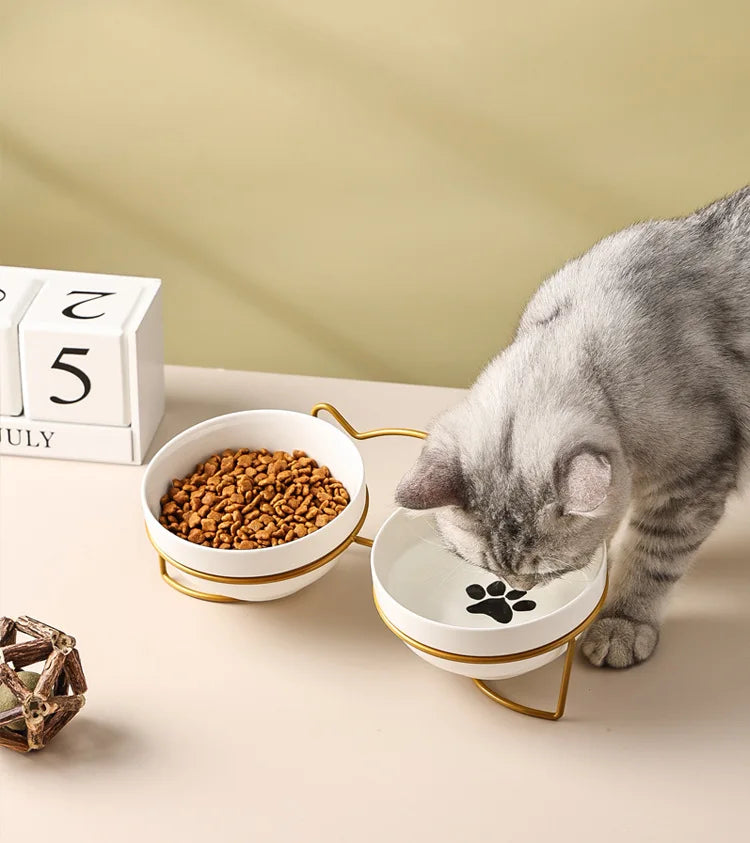 Ceramic Double Pet Bowl – Cervical Protection