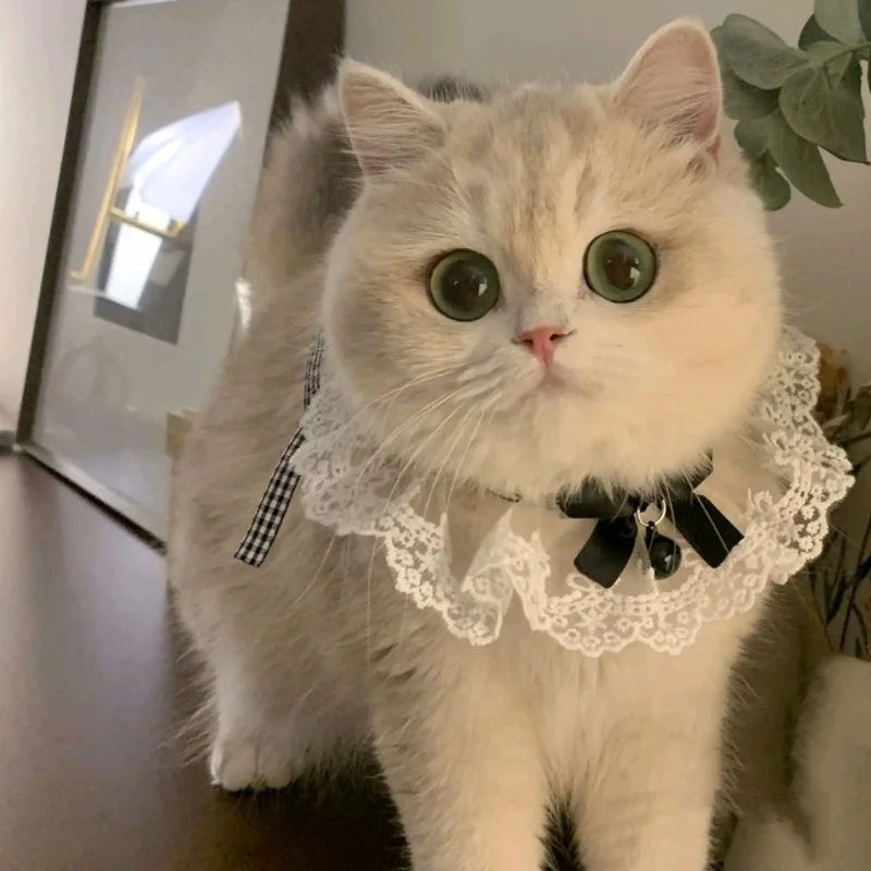 Silk Pet Collar with Bow & Bell – Princess Style