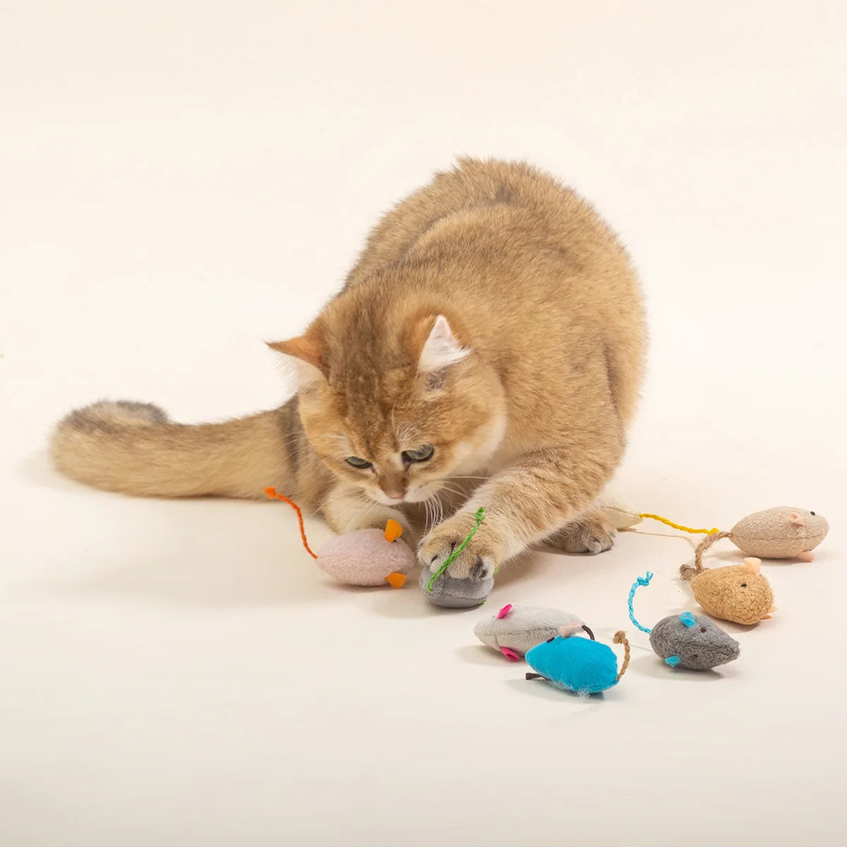 Catnip Rattle Mouse Toys – Multi Pack
